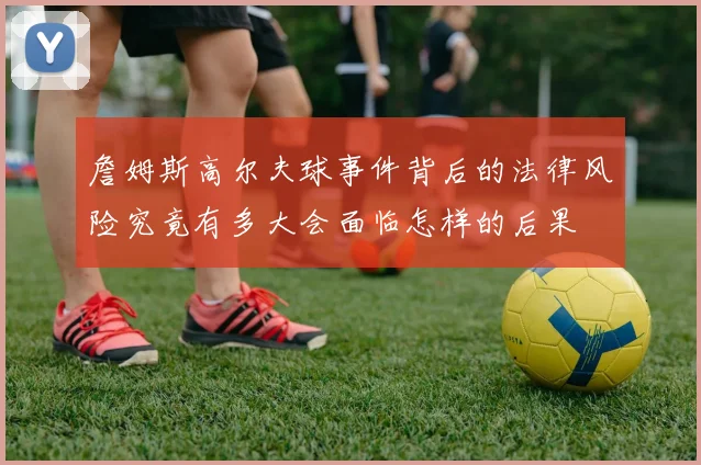 詹姆斯高尔夫球事件背后的法律风险究竟有多大会面临怎样的后果