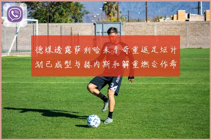 德媒透露萨利哈米季奇重返足坛计划已成型与赫内斯和解重燃合作希望